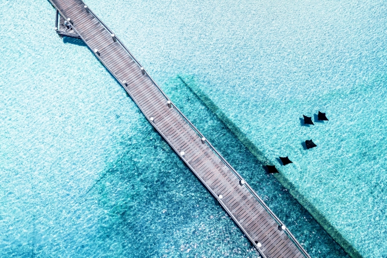 海龙岛，栈桥，鸟瞰图 © James Vodicka 版权所有