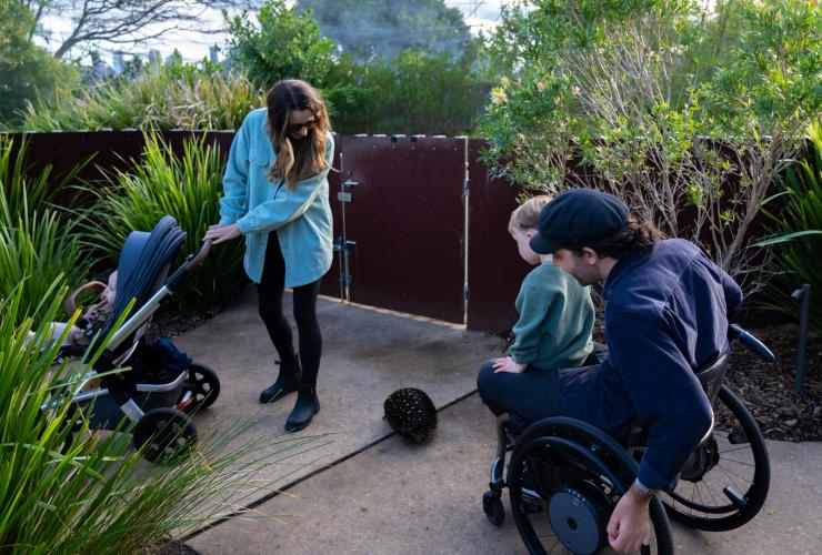 新南威尔士州，悉尼，塔龙加动物园，一位坐轮椅的男子同家人一块观赏针鼹 © 澳大利亚旅游局版权所有