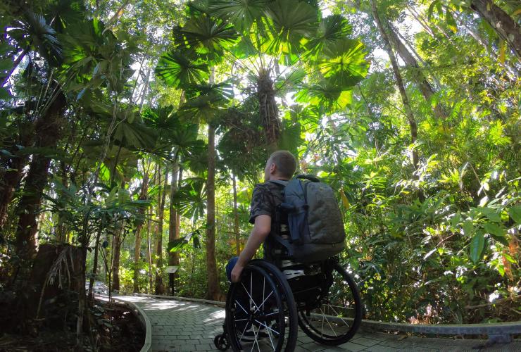 昆士兰州，一位坐轮椅的男子沿着戴恩树热带雨林的小道行走 © 昆士兰州旅游及活动推广局版权所有