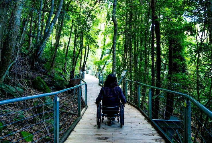 新南威尔士州，蓝山，一位坐轮椅的男子沿着山道行走 © 澳大利亚旅游局版权所有