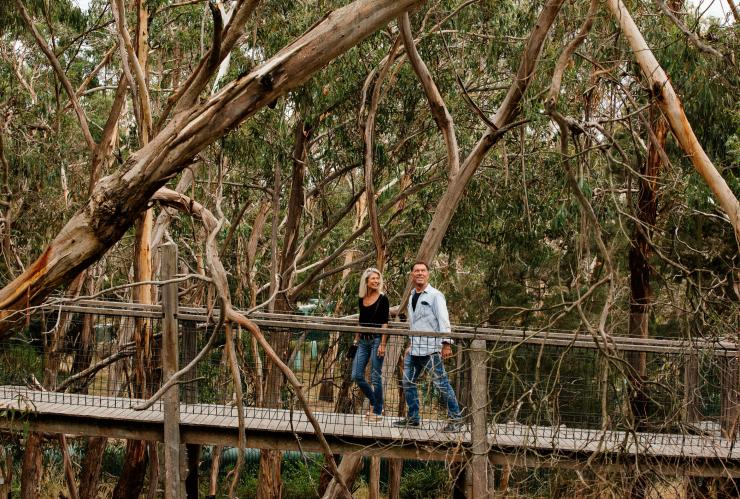 维多利亚州，菲利普岛，一对夫妇沿着考拉保育中心的盲道散步 © 澳大利亚旅游局版权所有