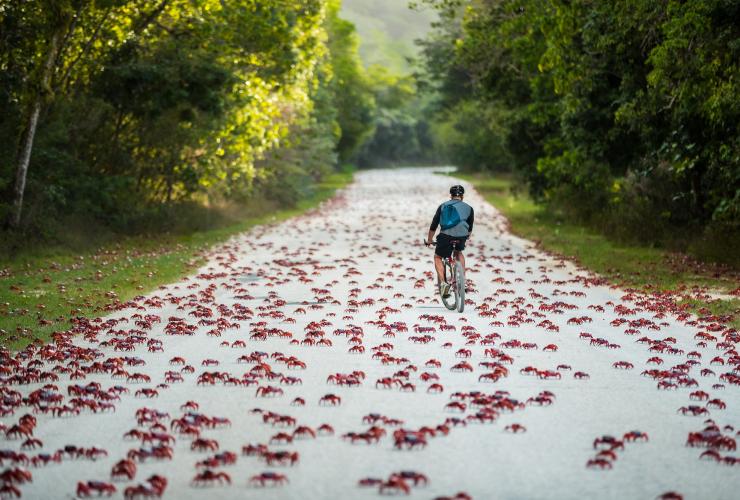 圣诞岛，路遇螃蟹迁徙的骑手 © 圣诞岛旅游协会版权所有