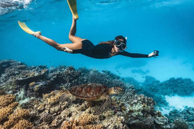 一只海龟在玛斯格雷夫女士岛附近的珊瑚礁上游泳 © James Vodicka 版权所有