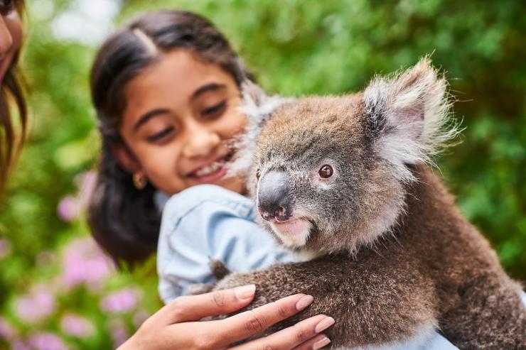 南澳大利亚州，袋鼠岛，袋鼠岛野生动物园 © 南澳大利亚州旅游局