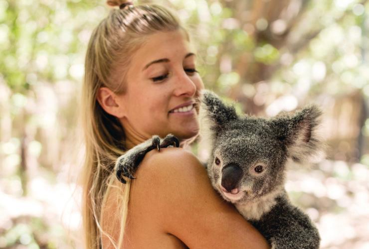 昆士兰州，磁岛，邦戈鲁湾考拉村（Bungalow Bay Koala Village）© Khy Orchard / 昆士兰州旅游及活动推广局