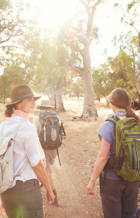 The Arkaba Walk, Ruger's Hill, Flinders Ranges, SA © South Australian Tourism Commission