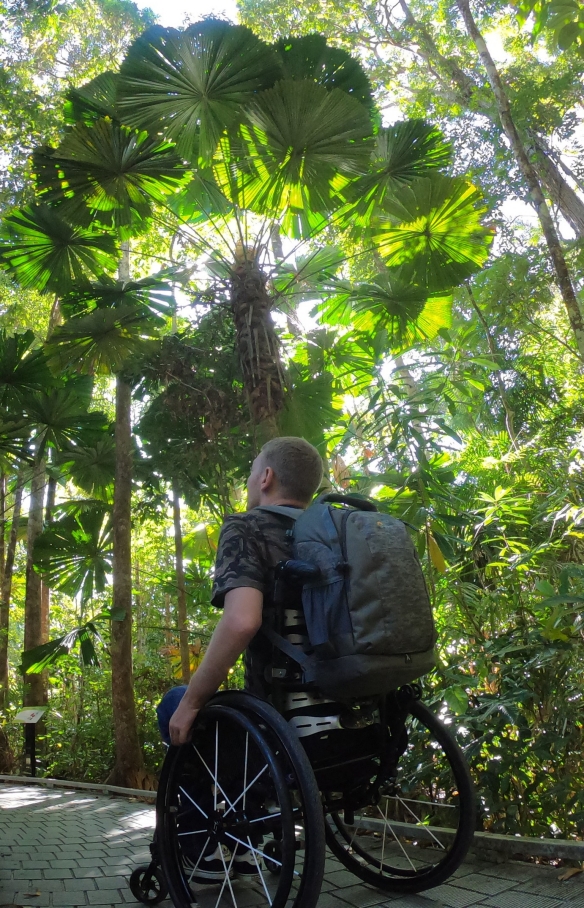 昆士兰州，库兰达，热带雨林自然公园，一位坐轮椅的男子与其爱人一起观看迪吉里杜管表演 © 昆士兰州旅游及活动推广局版权所有
