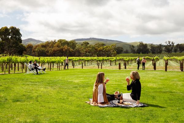 南澳大利亚州，芭萝莎谷，杰卡斯 © 澳大利亚旅游局版权所有