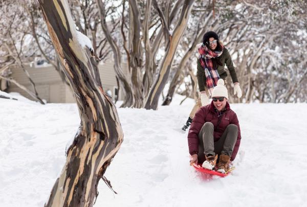 在维多利亚州贺腾山，一名男子笑着坐着滑雪橇从雪坡滑下，穿过疏花桉树林，一位女子在一旁欢快地注视着 © 维多利亚州旅游局版权所有