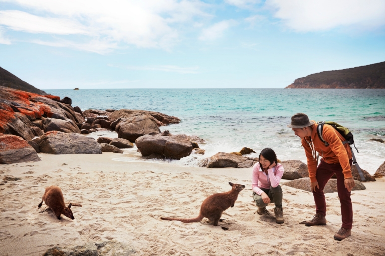 菲欣纳徒步体验之旅，菲欣纳国家公园，塔斯马尼亚州©澳大利亚旅游局版权所有