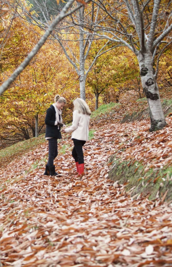 High Country Harvest Festival, VIC © Tourism Australia