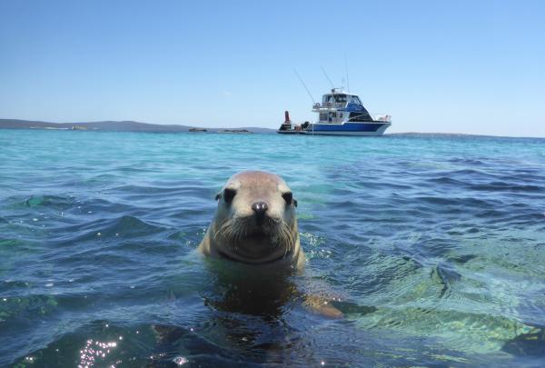 位于南澳大利亚州的艾尔半岛 （Eyre Peninsula）（图片来源：南澳大利亚旅游局）