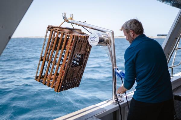 澳大利亚西澳大利亚州罗特尼斯“奢华海鲜巡航之旅”