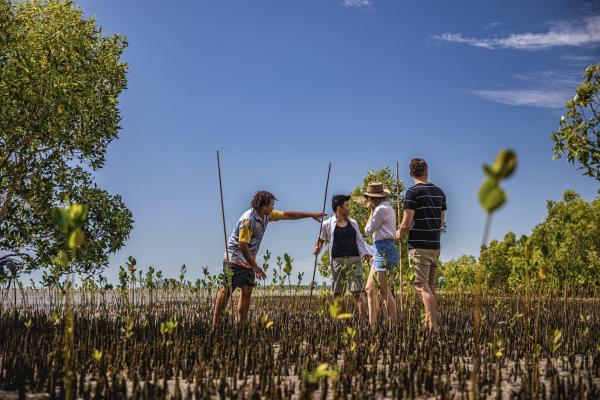 澳大利亚昆士兰州泥蟹捕捉体验