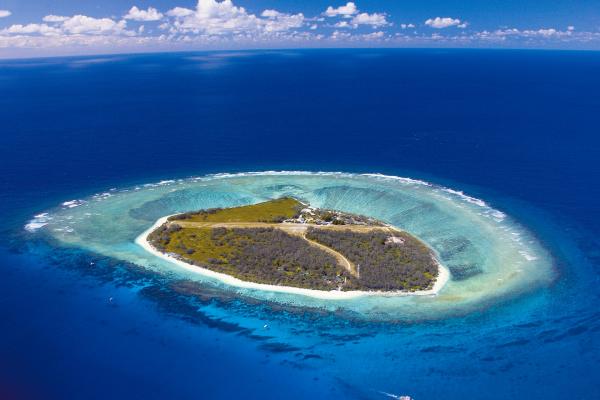 伊利特女士岛生态度假村（Lady Elliot Island Eco Resort）