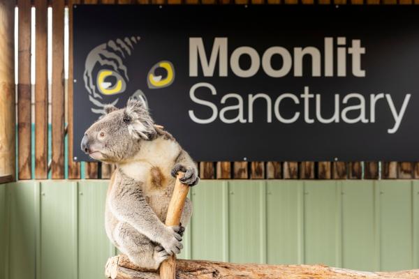 澳大利亚维多利亚州月光野生动物保护区