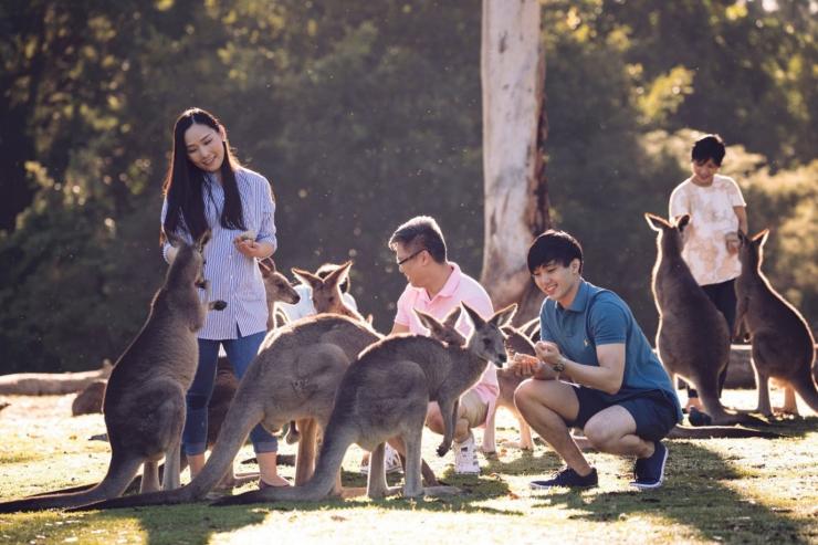 Visa公司最新发布的《全球旅游意向调查》 显示：澳大利亚是中国消费者最向往的出境游目的地之一