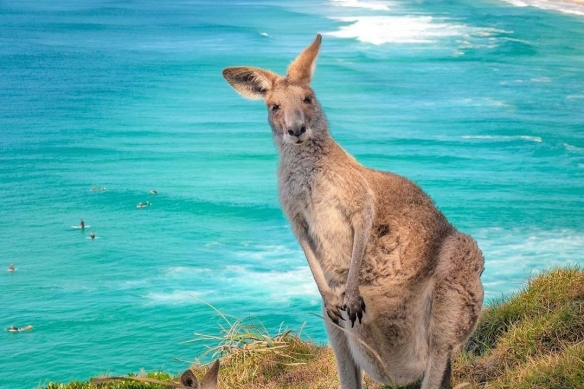 昆士兰州北斯德布鲁克岛 （North Stradbroke Island） （图片来源：@_markfitz  @australia）