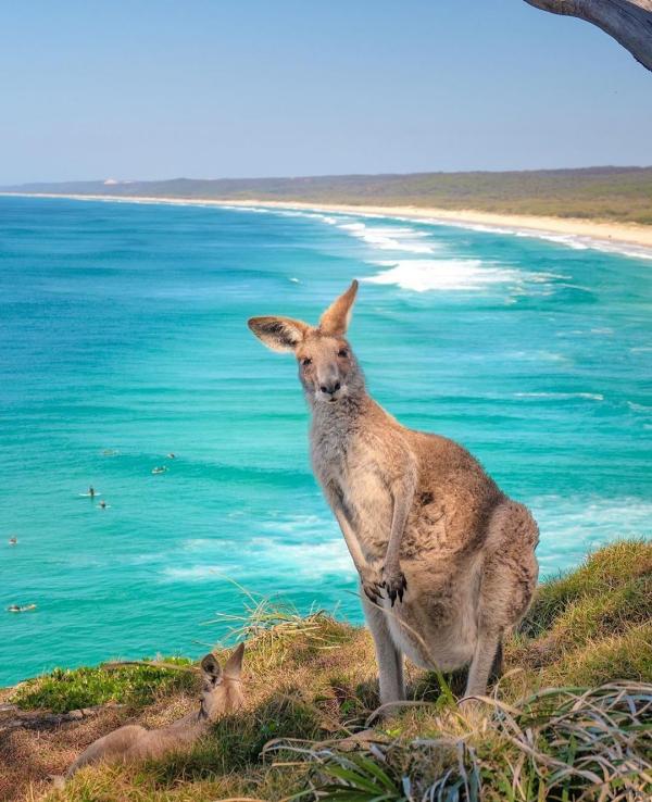 昆士兰州北斯德布鲁克岛 （North Stradbroke Island） （图片来源：@_markfitz  @australia）