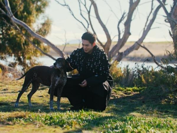 于适在盖利布兰德角自然公园（Gellibrand Point Nature Recreation Area）邂逅猎犬