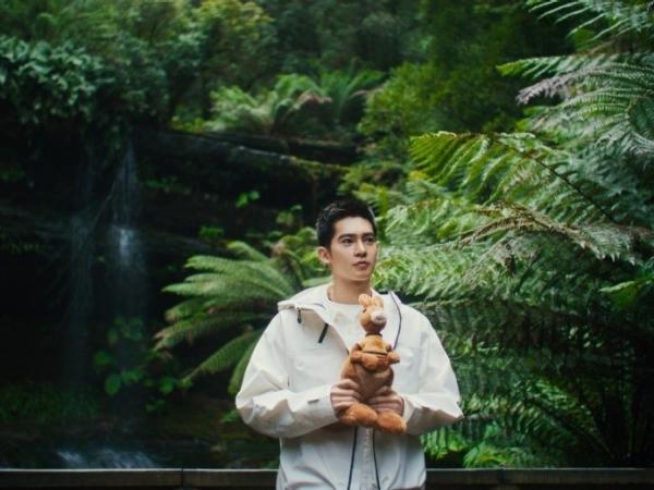 于适和澳大利亚旅游大使袋鼠Ruby在费尔德山国家公园（Mt Field National Park）