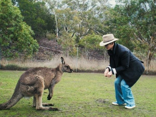 于适在波诺朗野生动物园（Bonorong Wildlife Park）和袋鼠交朋友