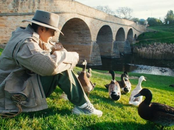 于适在里奇蒙桥（Richmond Bridge）下引来“明星鸭子”做听众