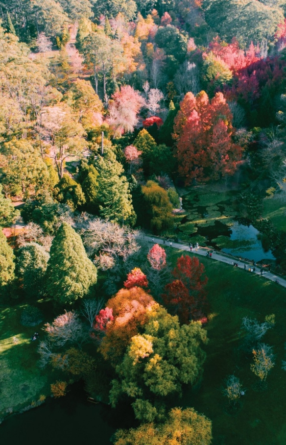 南澳大利亚州，阿德莱德山，洛夫缔山植物园 © Sam Williams 版权所有