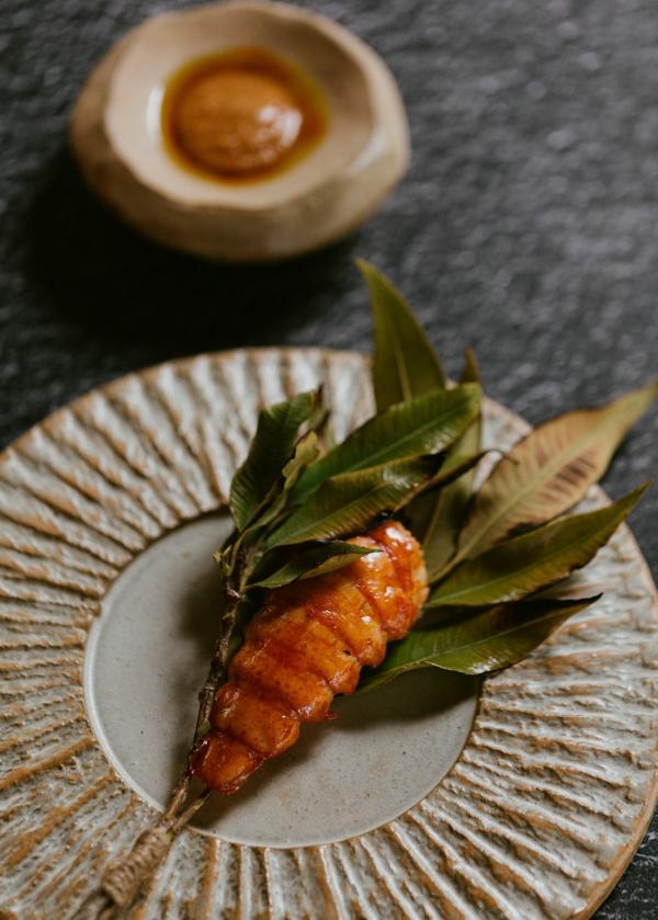 南澳大利亚州，阿德莱德，植物园餐厅，俯拍一层树叶衬托下的精美橙色酱汁海鲜菜肴 © Jonathan van der Knaap 版权所有