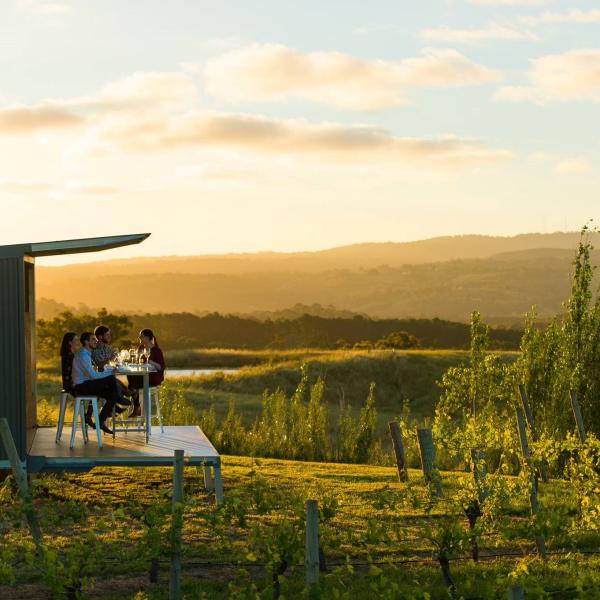 南澳大利亚州，阿德莱德山，兰恩葡萄园，360 度全景体验 © Adam Bruzzone 版权所有