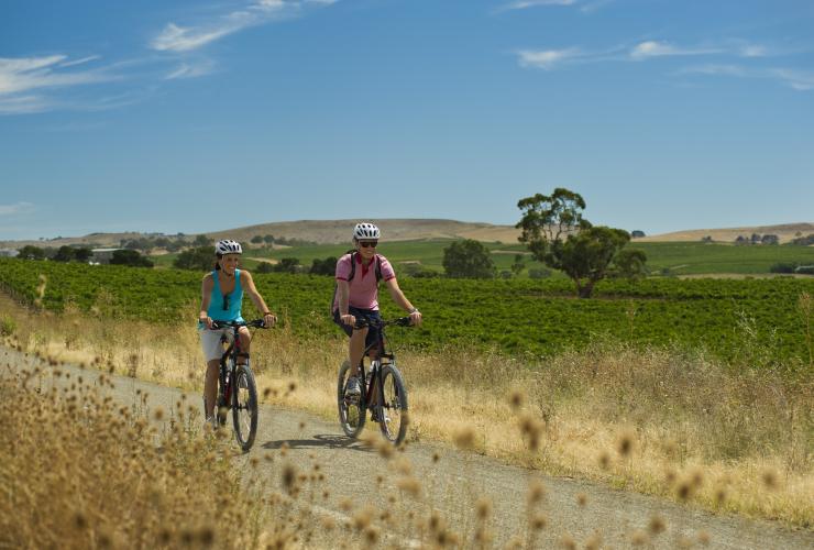 南澳大利亚州阿德莱德，两个人在嘉利谷的雷司令小道上骑车 © Mike Annese 版权所有