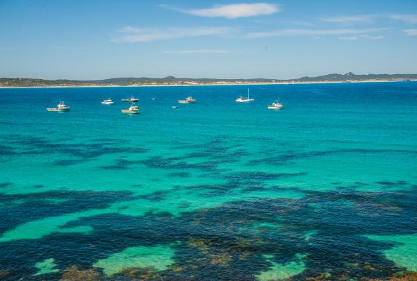 南澳大利亚，袋鼠岛，微风湾（Vivonne Bay）© Rishaad Saam Mehta 版权所有
