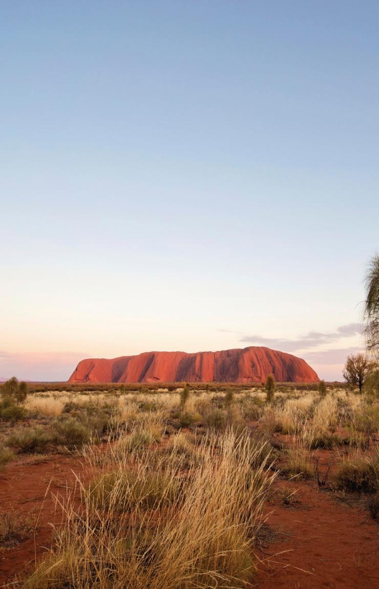 Field of Light, Uluru  Northern Territory © Mark Pickthall  版权所有