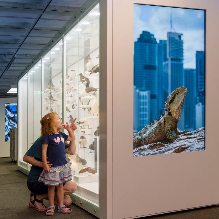 昆士兰州，布里斯班，在昆士兰博物馆探索中心看展览的孩子与家长 © 昆士兰博物馆网络版权所有