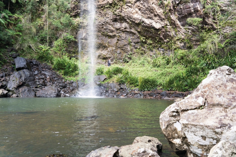 昆士兰州，春溪国家公园，双子瀑布 © Michael Taylor-Thomas 版权所有