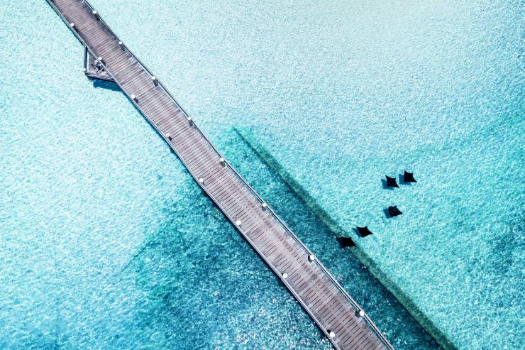 海龙岛，栈桥，鸟瞰图 © James Vodicka 版权所有