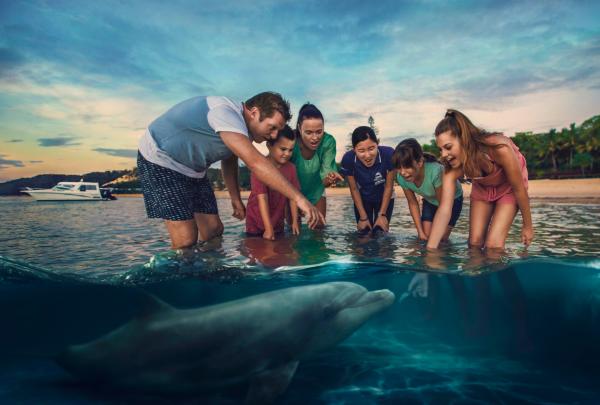 昆士兰州，摩顿岛，天阁露玛度假村，喂食野生海豚 © Brisbane Marketing 版权所有