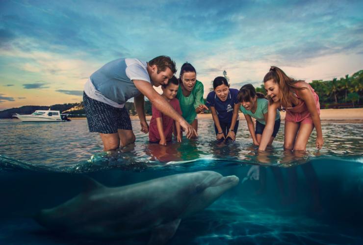 昆士兰州，摩顿岛，天阁露玛度假村，喂食野生海豚 © Brisbane Marketing 版权所有