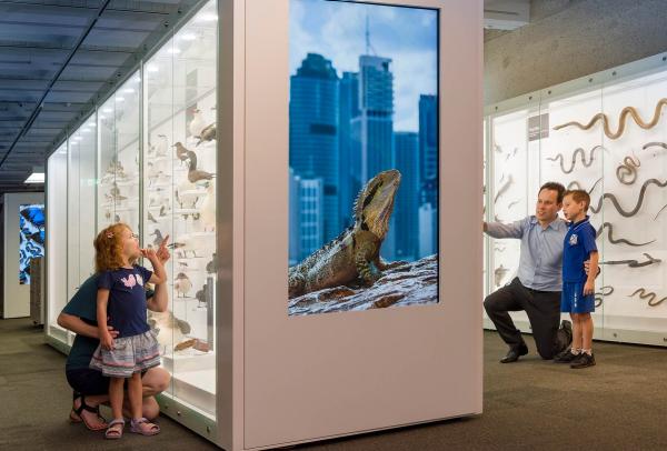 昆士兰州，昆士兰博物馆，探索中心 © 昆士兰博物馆网络版权所有