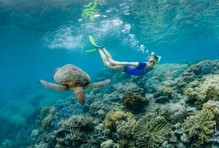 在海龟身边浮潜的女孩 © 昆士兰州旅游及活动推广局版权所有
