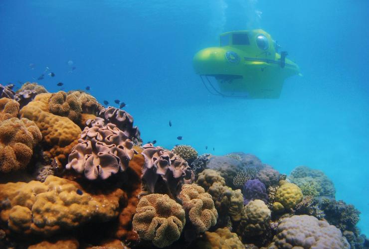 昆士兰州，大堡礁，大堡礁潜艇 © 昆士兰州旅游及活动推广局版权所有