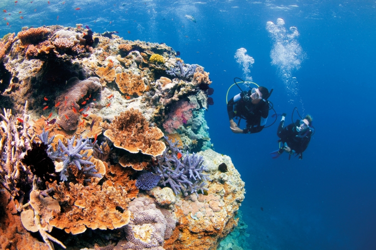 昆士兰州，大堡礁，妖精花园© 昆士兰州旅游及活动推广局版权所有