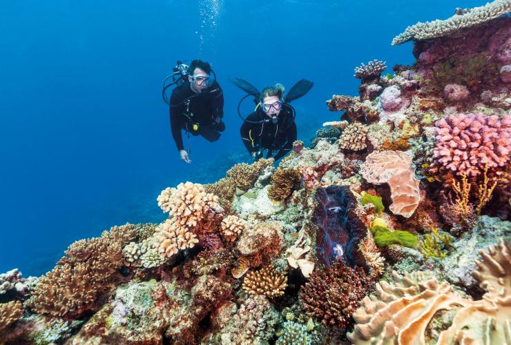热带北昆士兰，在阿金考特礁体验水肺潜水 © 昆士兰州旅游及活动推广局版权所有