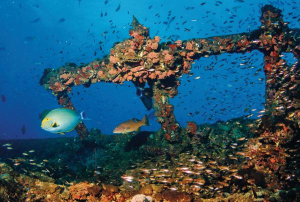 昆士兰州，汤斯维尔，“扬加拉”号 © 昆士兰州旅游及活动推广局版权所有