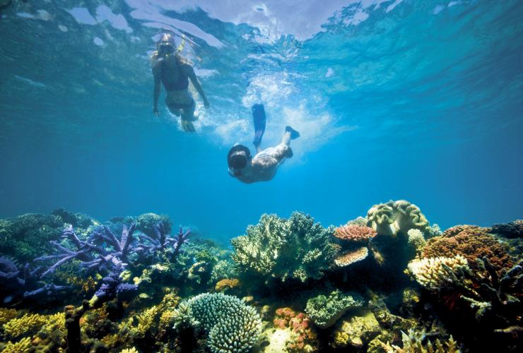 昆士兰州，大堡礁，蜥蜴岛，浮潜 © 澳大利亚旅游局版权所有