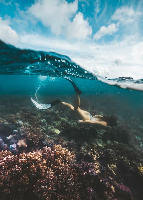 在昆士兰的蜥蜴岛浮潜 © 昆士兰州旅游及活动推广局版权所有