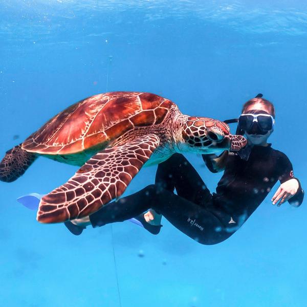 昆士兰州，大堡礁，玛斯格雷夫女士岛 © 昆士兰州旅游及活动推广局版权所有