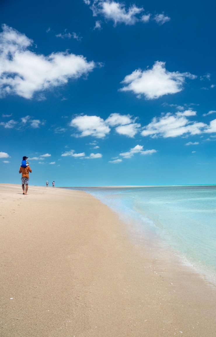 昆士兰，托雷斯海峡群岛，周五岛 © Mark Fitz 版权所有