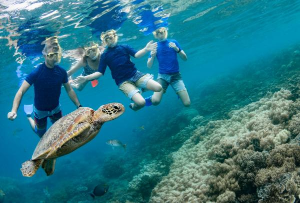 与家人一同享受在凯恩斯附近与海龟一起浮潜的乐趣 © 昆士兰州旅游及活动推广局版权所有