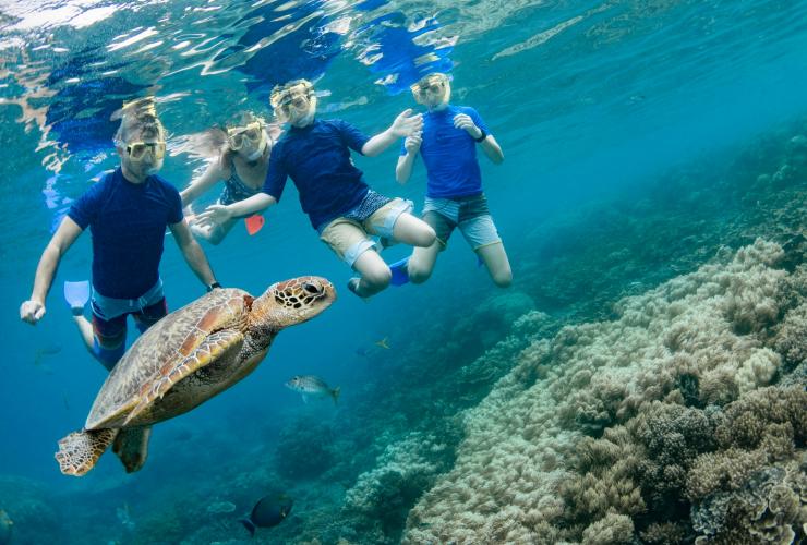 与家人一同享受在凯恩斯附近与海龟一起浮潜的乐趣 © 昆士兰州旅游及活动推广局版权所有